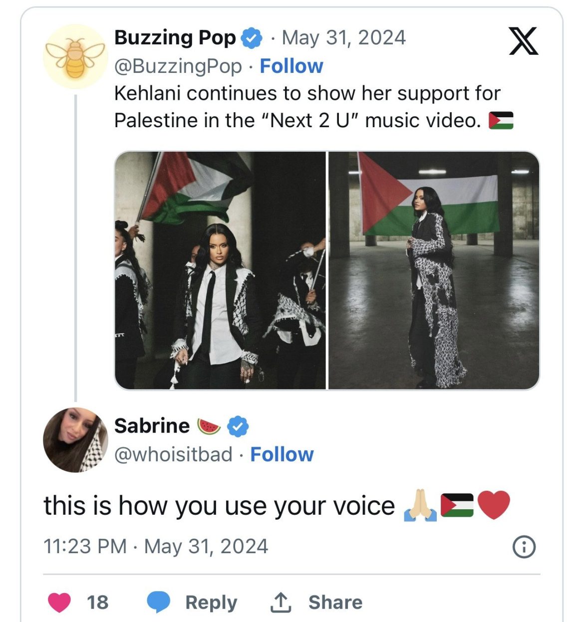 American singer Kehlani shows celebrities how it’s done by dedicating song ‘Next 2 U’ to Palestine