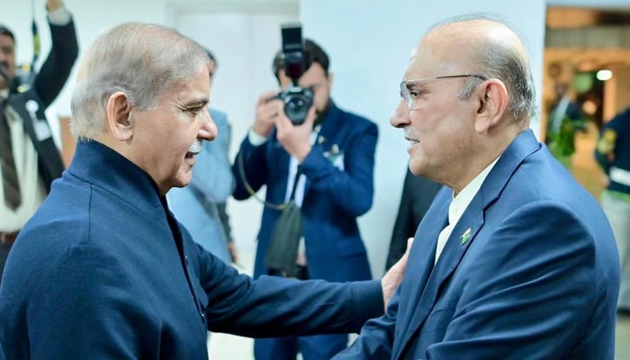 President Zardari, PM Shehbaz ‘discuss AJK govt formation’ President Asif Ali Zardari (right) meets Prime Minister Shehbaz Sharif in Islamabad, on March 10, 2025. — X@GovtofPakistan