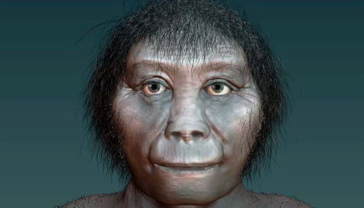 New research suggests modern humans may not be behind Indonesia’s ‘hobbits’ extinction 