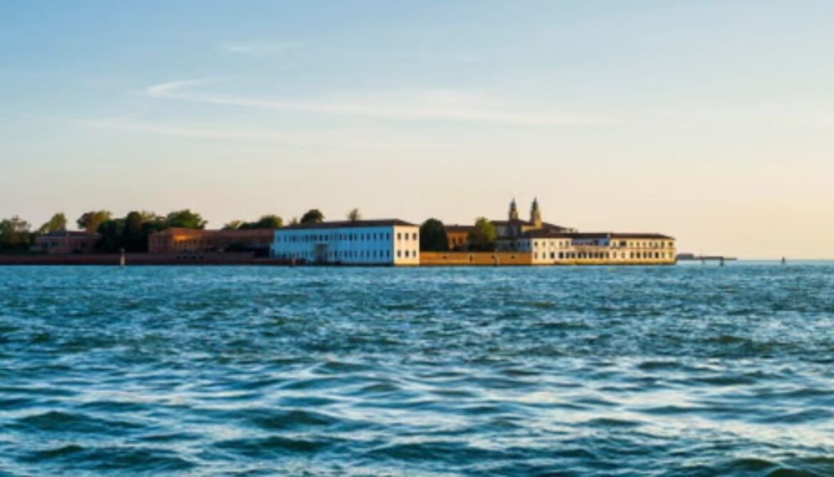 Salt-loving halophytes could boost coastal agriculture