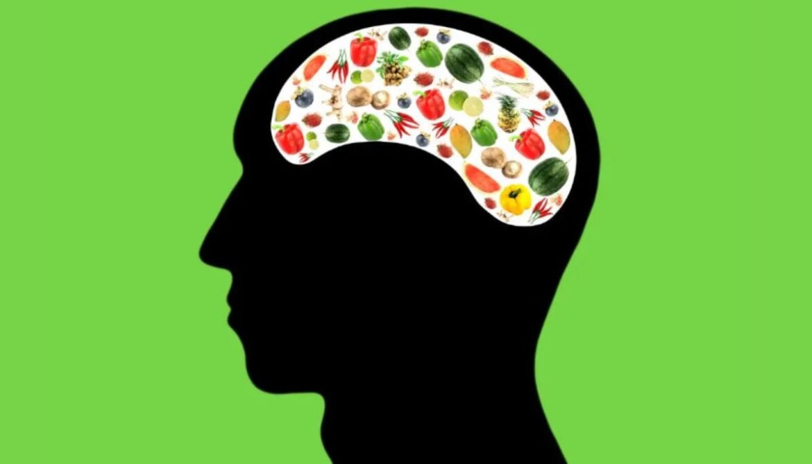 Scientist discovers tiny protein that control hunger