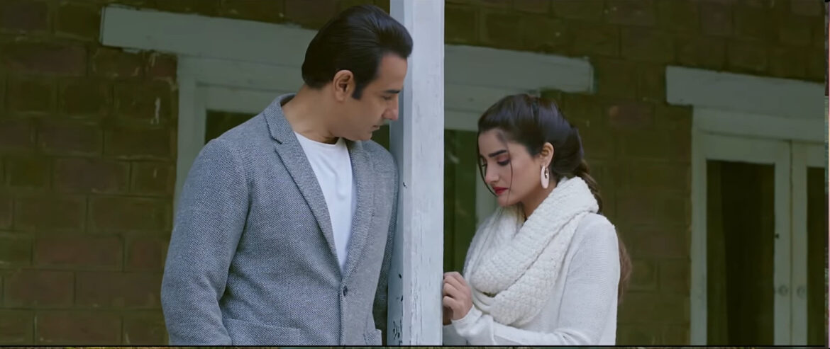 How films like item damage Pakistani cinema