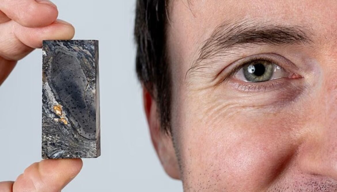 Scientists discover new form of life that grew 26ft tall