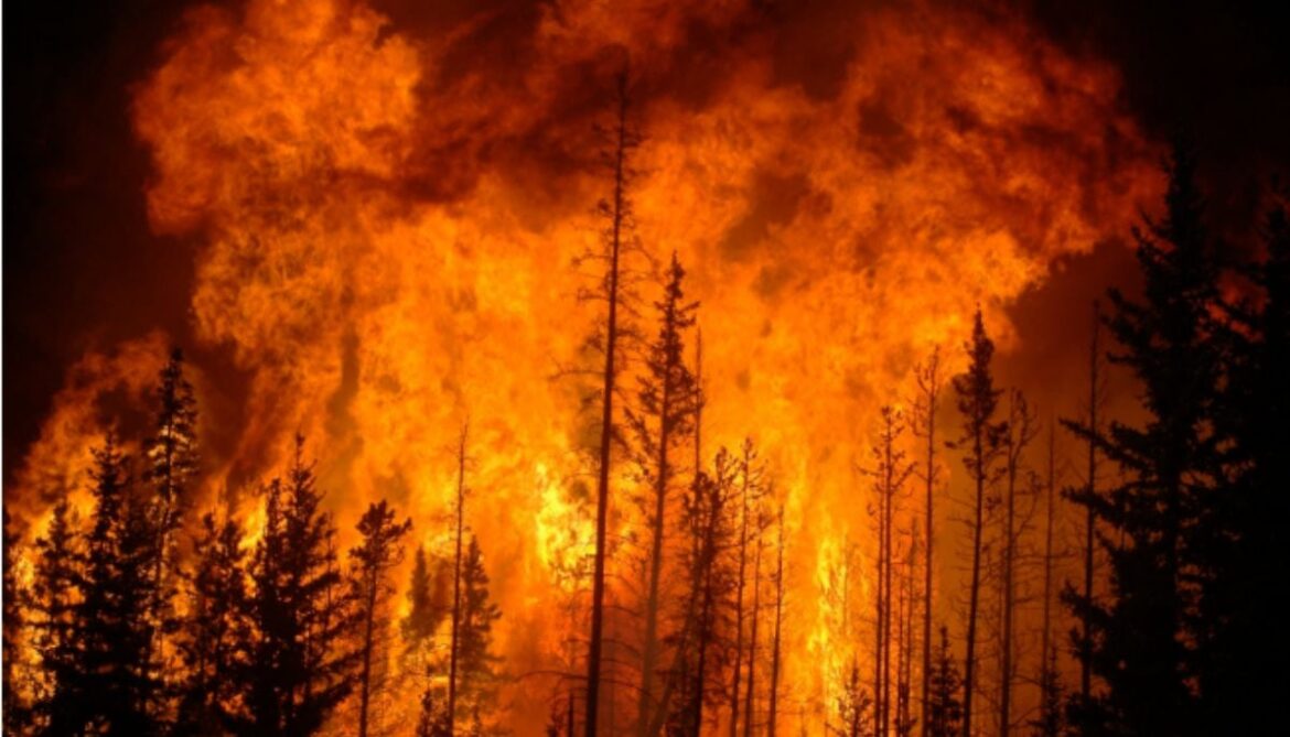 Wildfires are polluting our environment more than we thought: Find out how