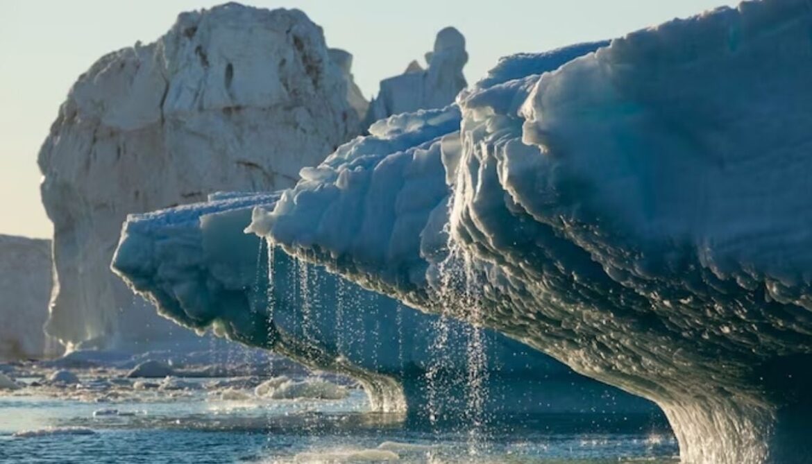World’s first ice archive created to preserve fast-melting glaciers’ secrets