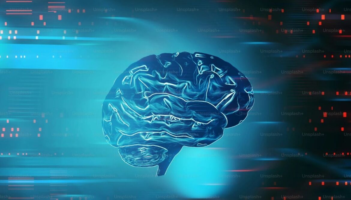 Brain holds secret memory system, study finds