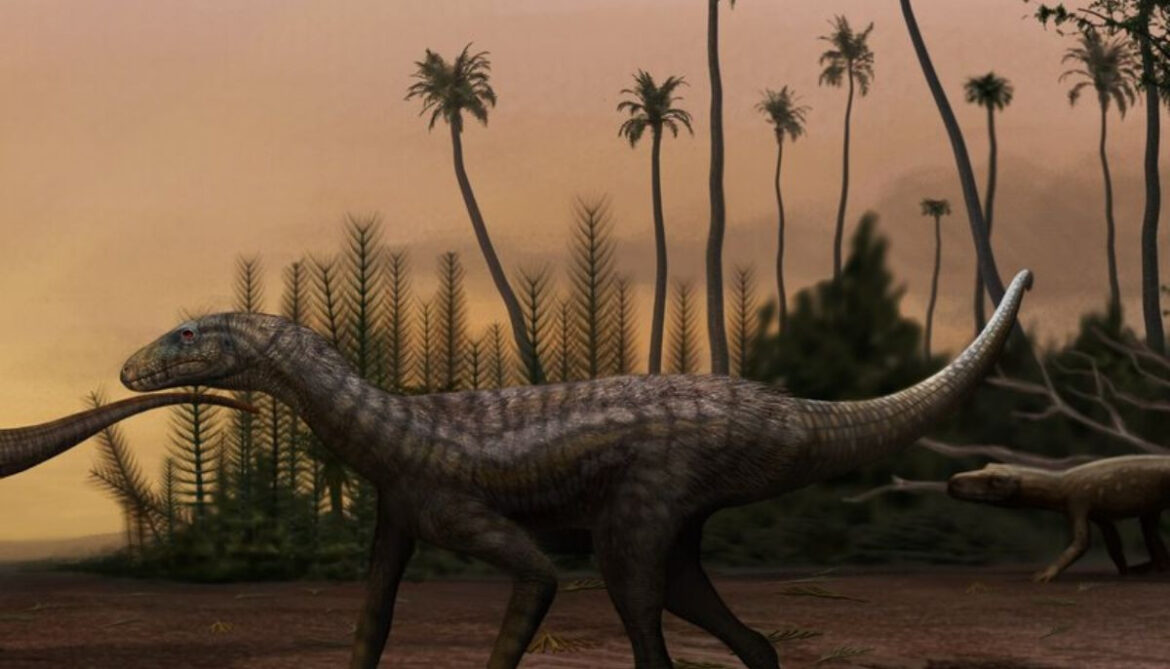 Brazil fossil of giant dinosaur reveals continents were connected 120 million years ago