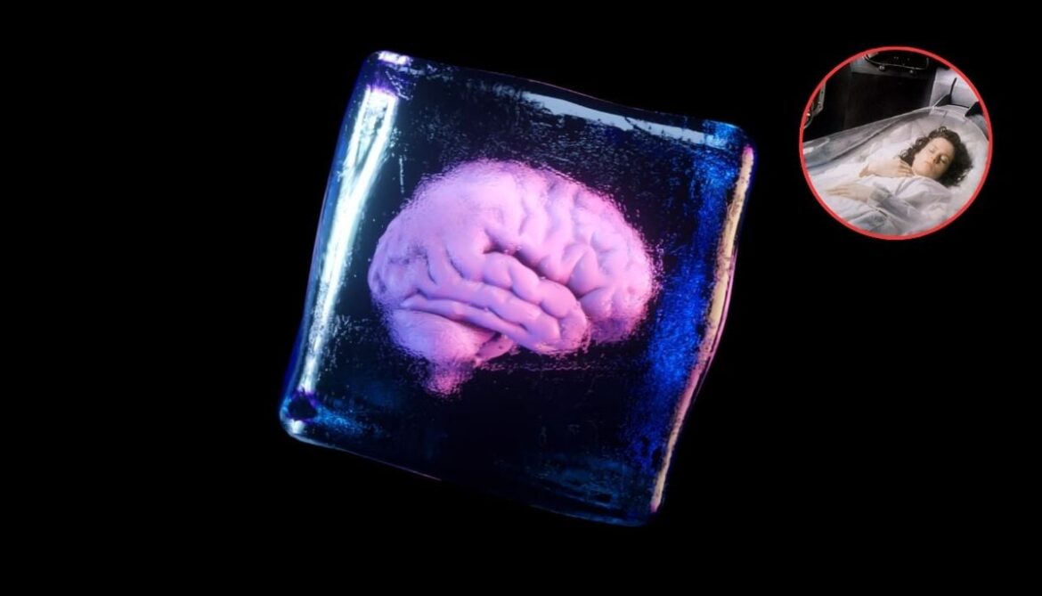 Mouse brain revival experiment sparks cryonics debate: Can humans be brought back to life?