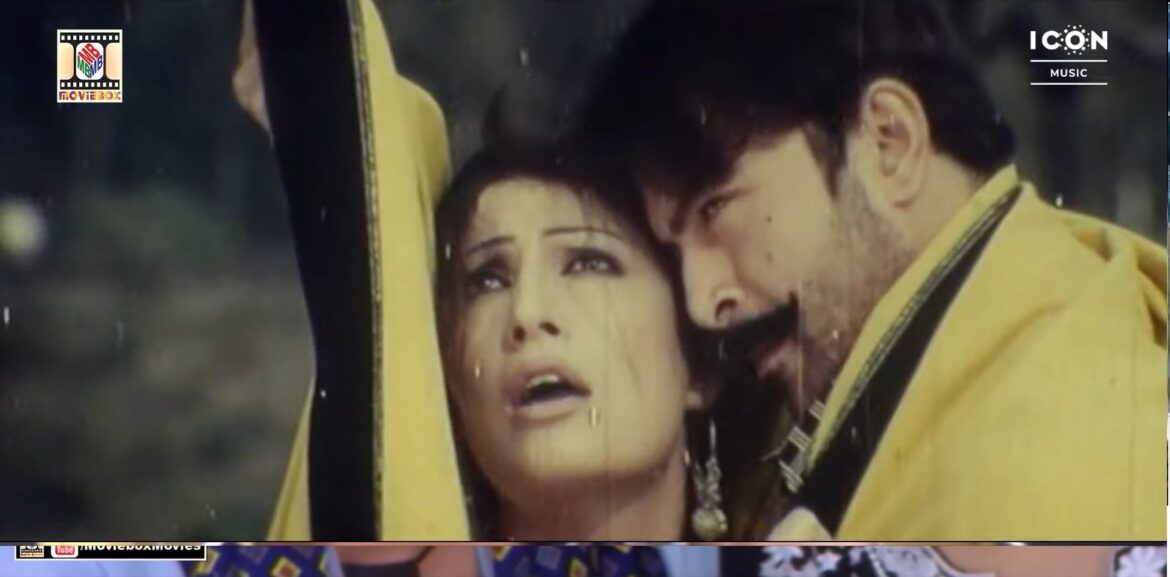 The politics of a punjabi song