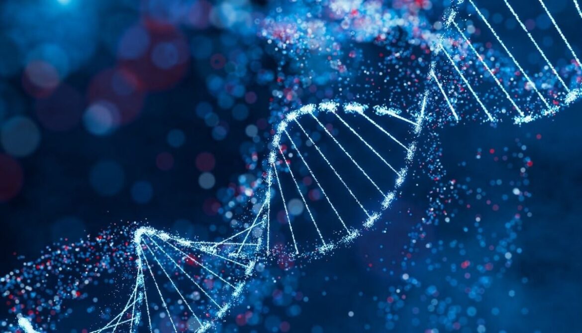 Is success written in your DNA? New study reignites nature vs nurture debate