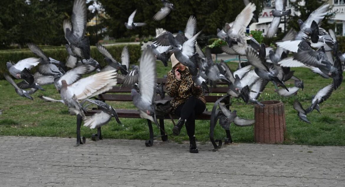 Why urban birds fear women more than men: Scientists puzzled by new study