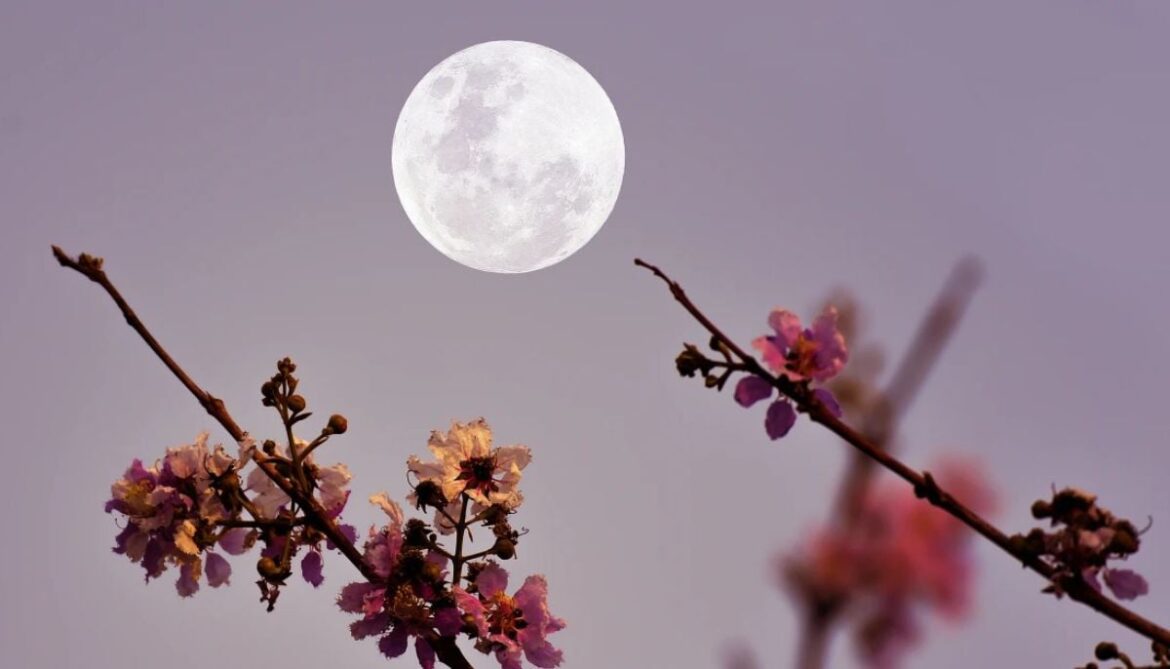May Full Moon Scorpio: The 4 luckiest zodiac signs this month