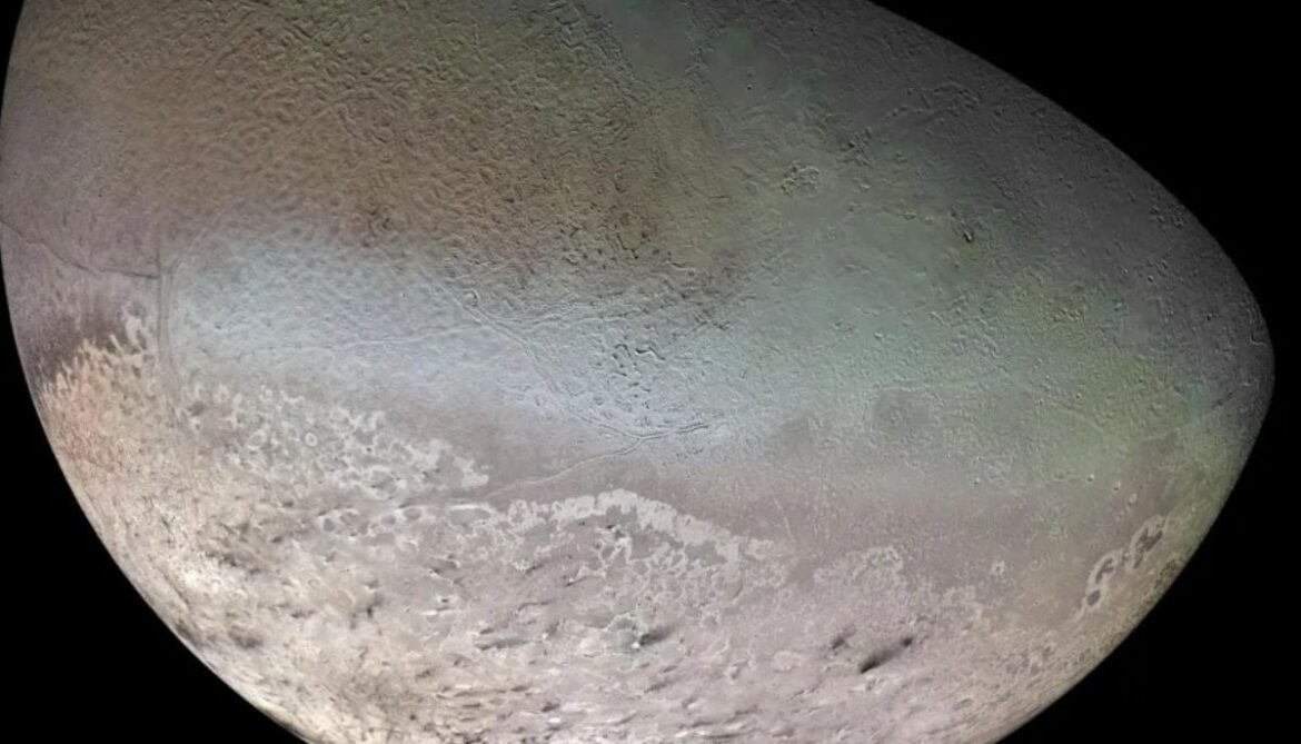 Why do scientists think Neptune’s moon Nereid survived violent cosmic collision?