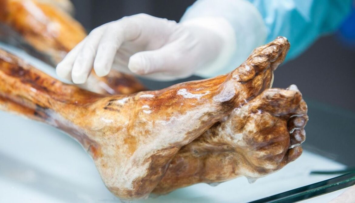 Scientists bake sourdough bread using yeast from a 5,000-year-old mummy 