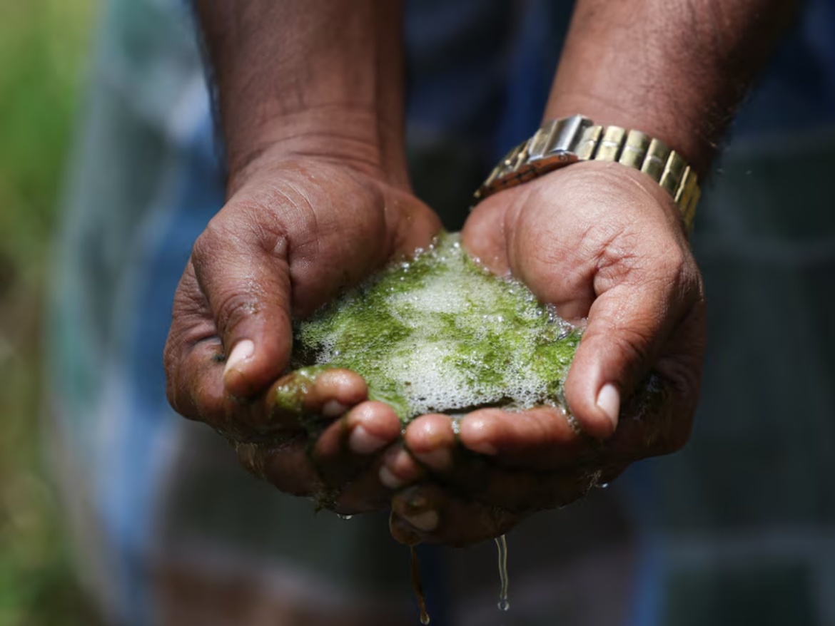 Tata's iPhone parts factory faces India health probe after farmer contamination complaints
