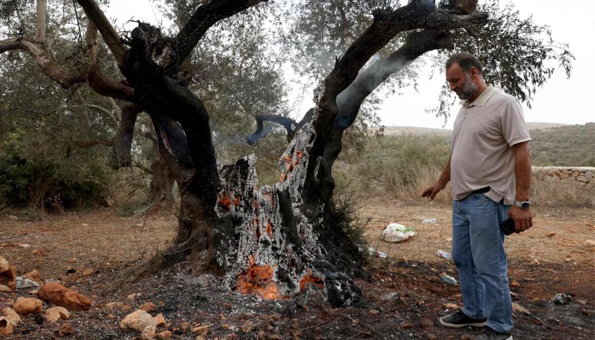 A Palestinian man stands next to a smouldering olive tree reportedly set alight along with a vehicle by Israeli settlers, near the village of Turmus Ayya, north of the city of Ramallah, in the Israeli-occupied West Bank on October 16, 2026.— AFP